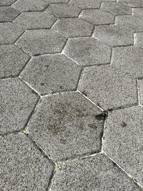 Fotografija stranke
